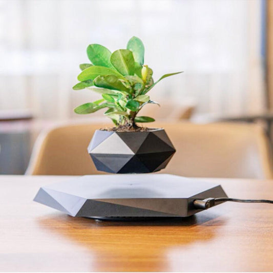 Levitating Air Bonsai Flower Pot [Futuristic / Magnificent / Easy to Use] - ShopSkosh